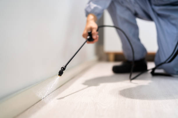 Licensed Cockroach Control service in Mitchell, IL - Nex Pest Control