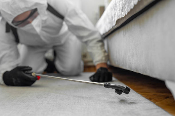 Professional Cockroach Control technician working in Mitchell, IL