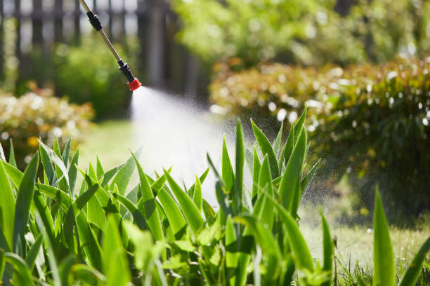 24/7 Emergency Cockroach Control experts in Mitchell, IL