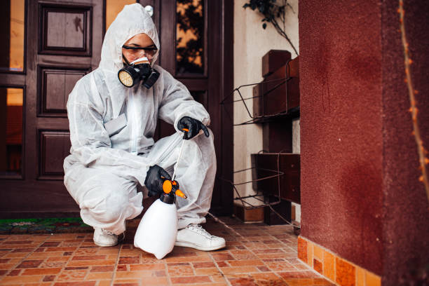 Reliable Cockroach Control contractor in Mitchell, IL by Nex Pest Control
